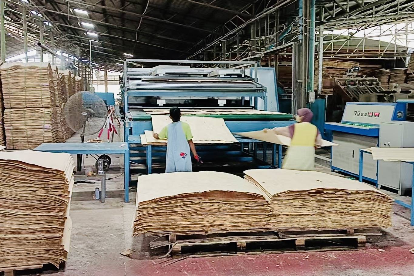 thailand veneer dryer