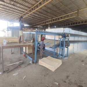 2 deck 28m veneer drying line