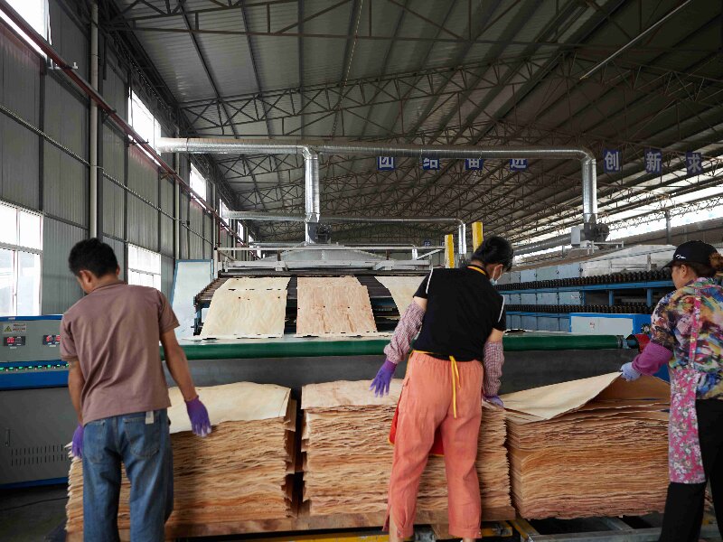 wood veneer dryer