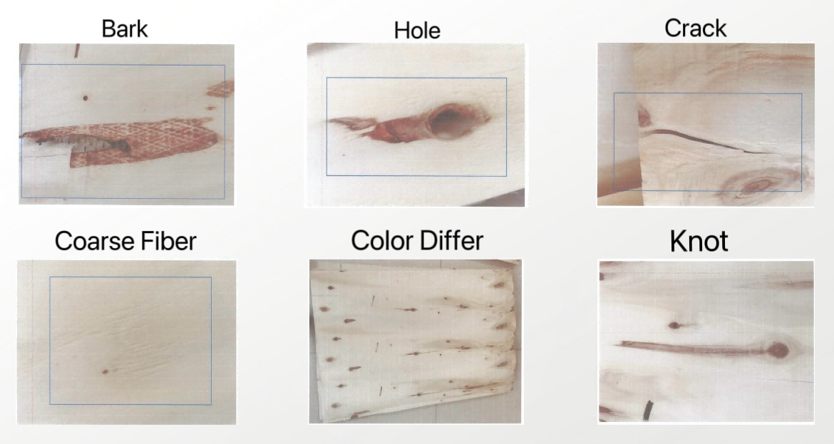 veneer vision grading system