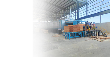 Biomass  Roller Veneer Dryer