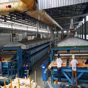 Southeast Asian Veneer Processor Boosts Output with Custom Wood Veneer Dryer Solution