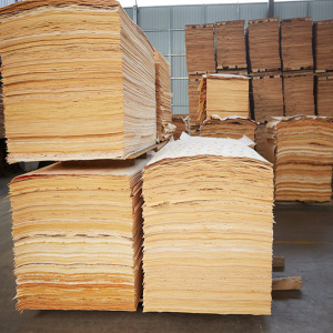 Ukraine Plywood Factory Saves Operational Cost with Energy-Saving Wood Veneer Dryer