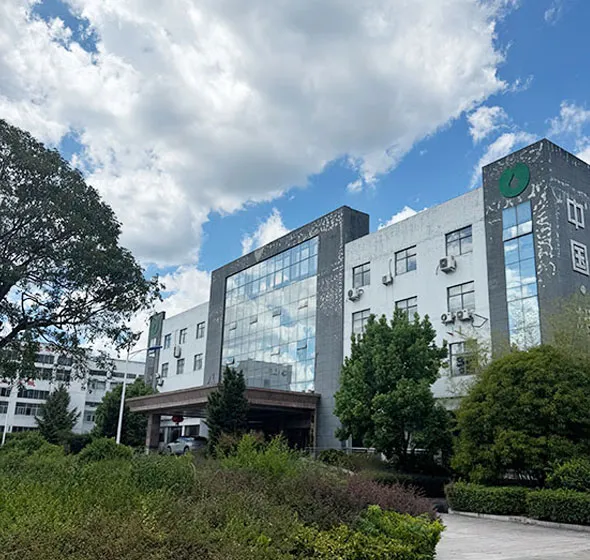 Company Profile