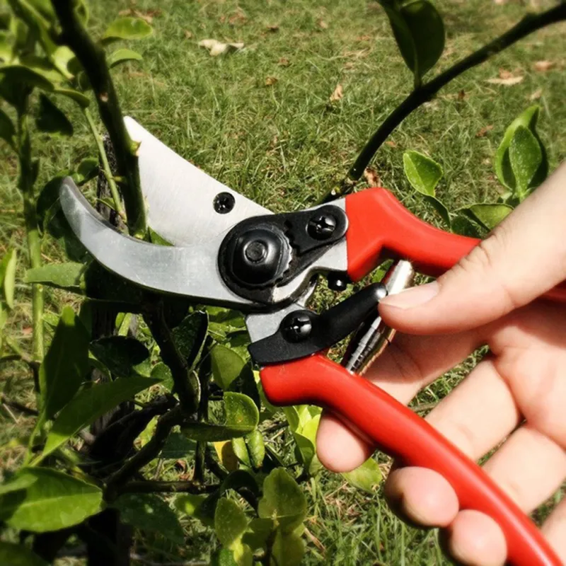 Premium Stainless Steel Bypass Pruning Shears Manual Garden Pruning Scissors with PVC Handle for Plant Flower and Branch Trimming（D0003-0007）