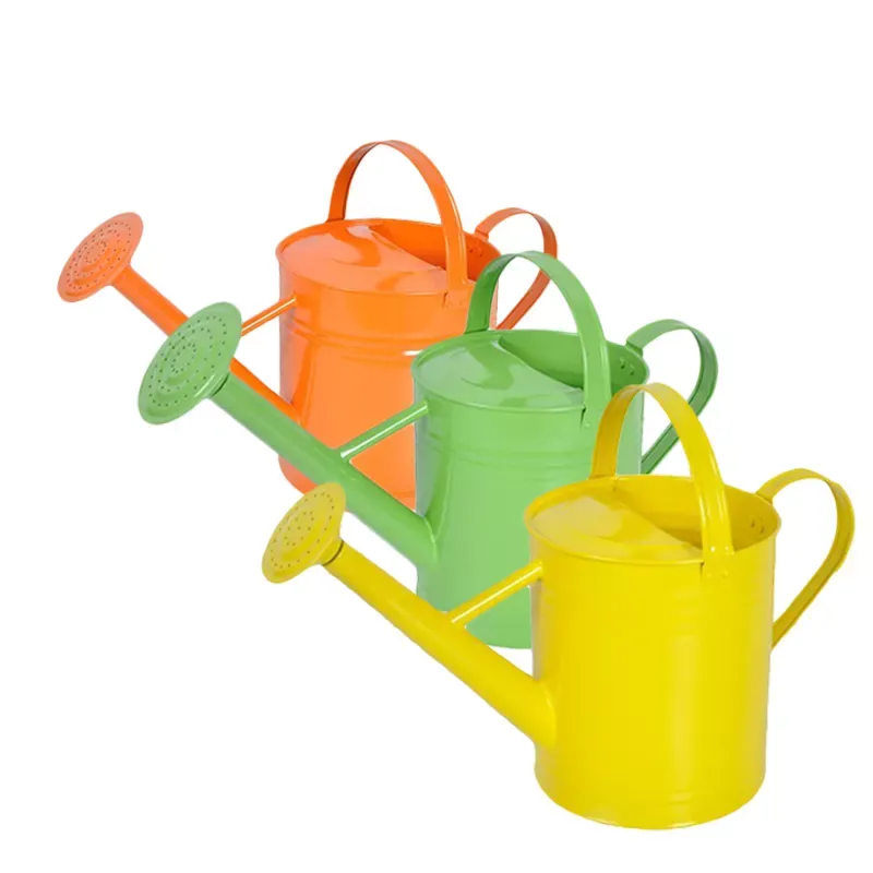 Custom Metal Watering Can Indoor & Outdoor Garden Watering Can for Houseplants Lawn & Garden（D0002-0006）