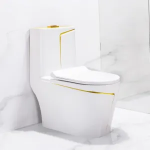 Custom Color Gold Line One Piece Toilet Grey White Black Luxury Ceramic WC for Modern Bathroom（E0006-0002）