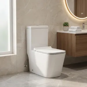 Modern One Piece Toilet Scratch Resistant Ceramic Siphonic Water Closet for Home and Hotel（E0006-0003）
