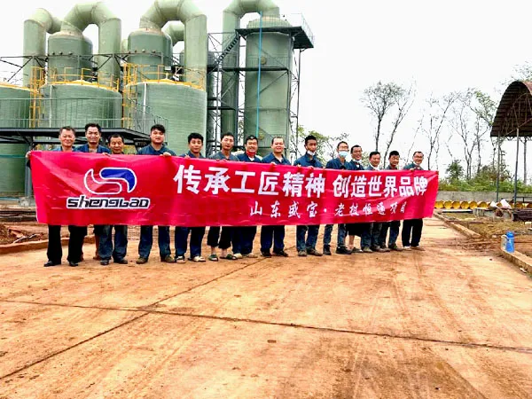 Laos Bromine tower project
