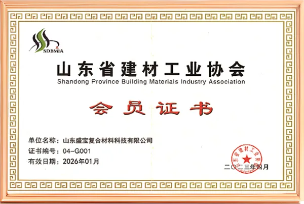 Shandong Building Materials Industry Association (China)