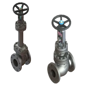 Bellows Seal Valves