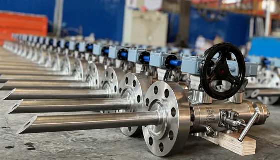 DBB VALVES PROJECT