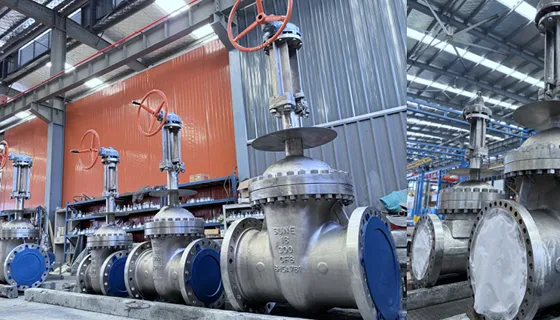 Linde Cryogenic Project