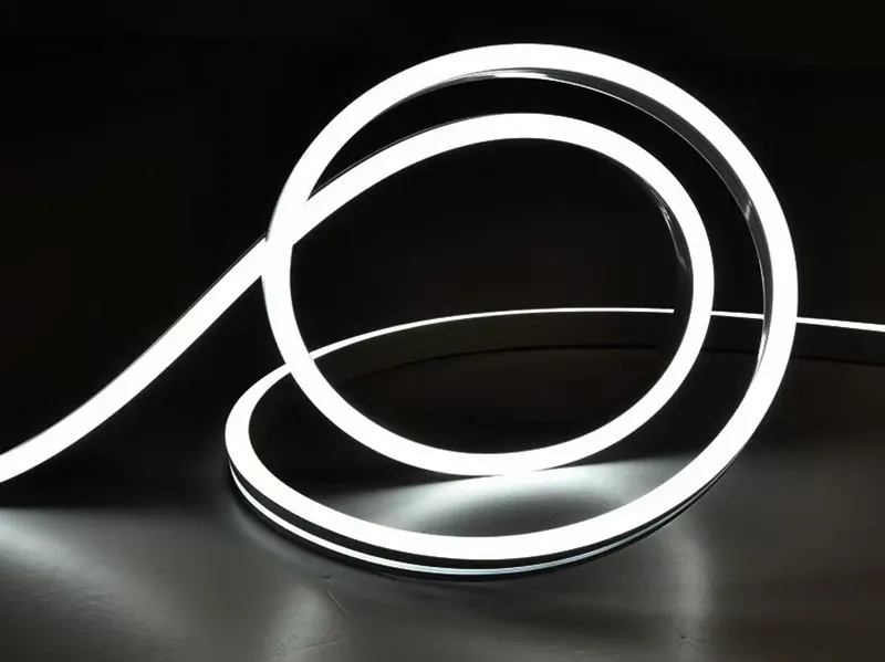 LED Neon Lights