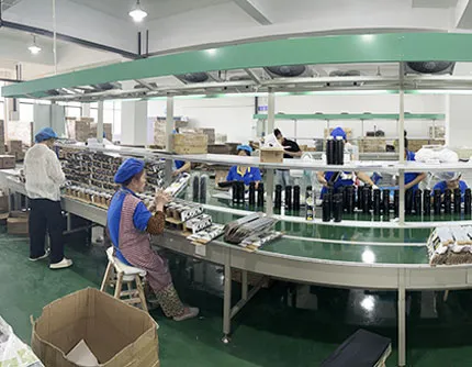 Panoramic View of the Packaging  Workshop