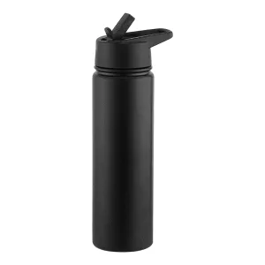 Insulated Stainless Steel Sports & Outdoor WaterBottle for Gym and Training 