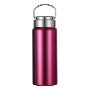 High Quality 500ml Insulated Stainless Steel Sports & Outdoor WaterBottle 