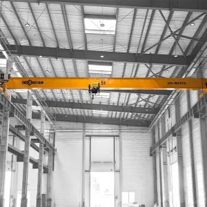 European Single Girder Crane