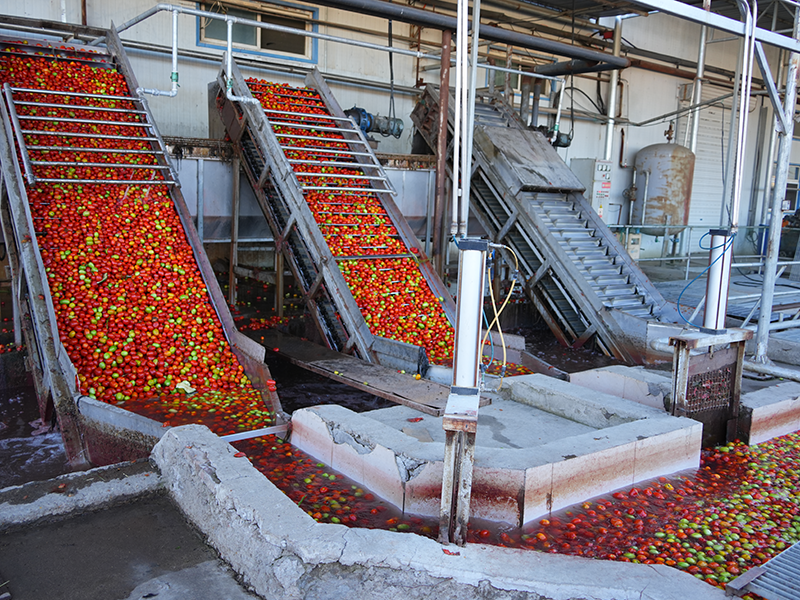 Premium Tomato Paste 36-38%