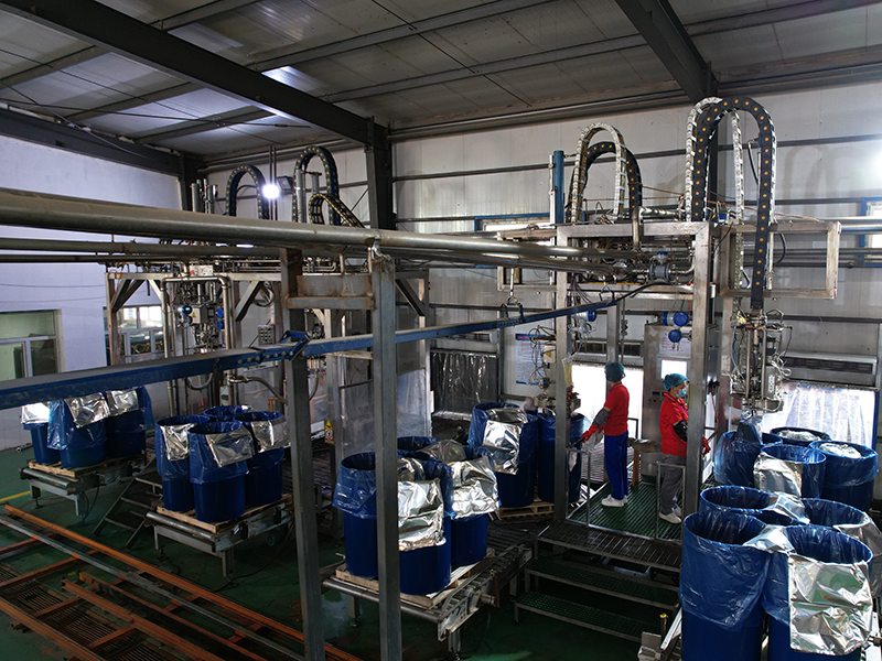Tomato Paste Manufacturing