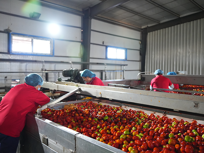 Tomato Paste 28-30% HB Made