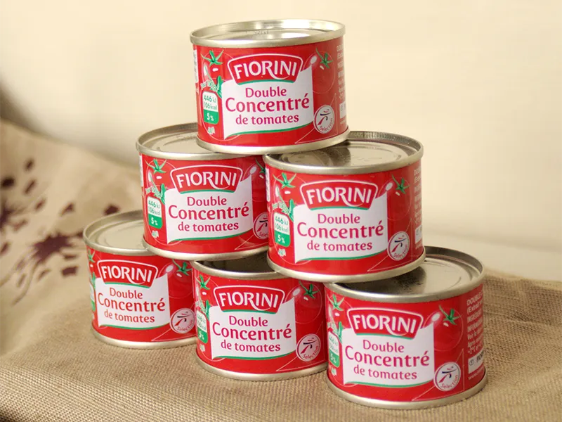 70G Canned Tomato Paste with Rich Concentrated Flavor
