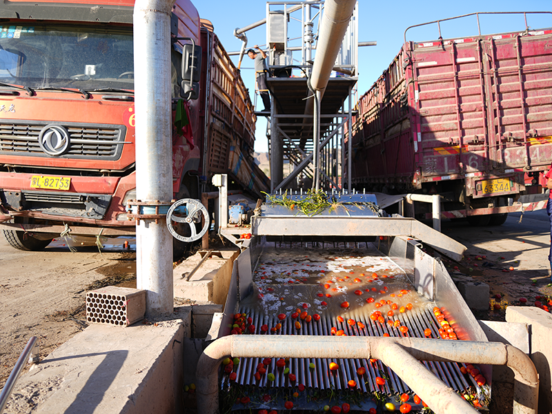 70g Bagged Tomato Sauce