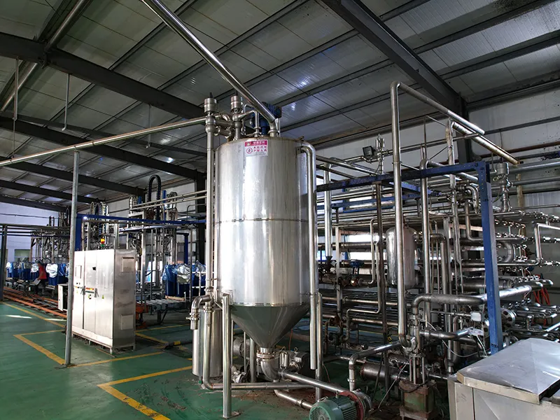 Tomato high-temperature disinfection machine