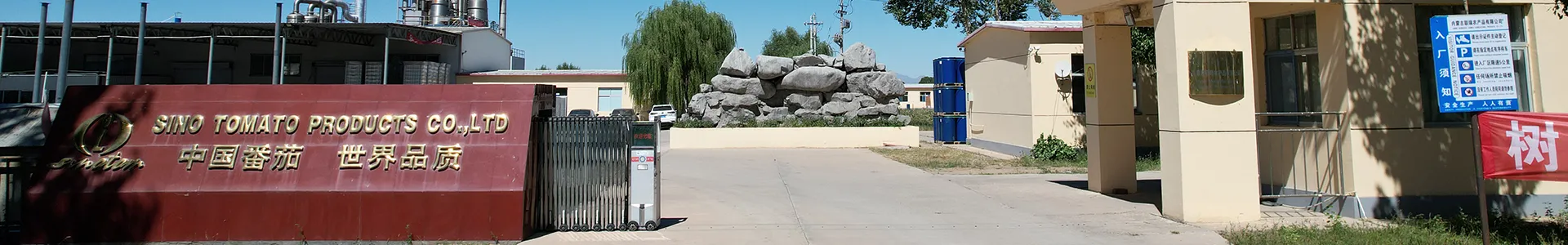 مقدمات الشركة