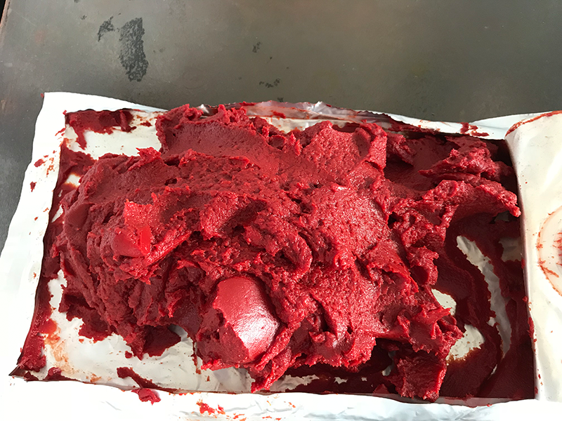 Canned Tomato Paste for Vegan and Plant-Based Product Development