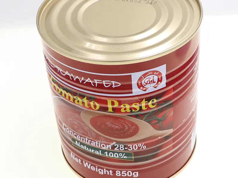 High-Quality 850G Canned Tomato Paste for Pantry Storage