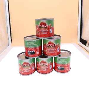 70G canned tomato paste