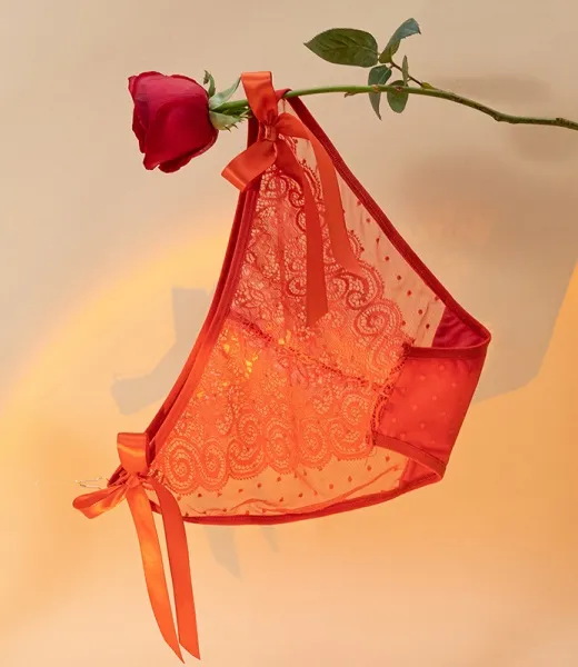 GY-144 Best-selling bow-knotted, ethereal and seductive French-style laced underwear