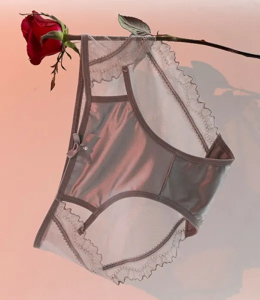 GY-557 Satin Lace Sexy Sheer Underwear Women