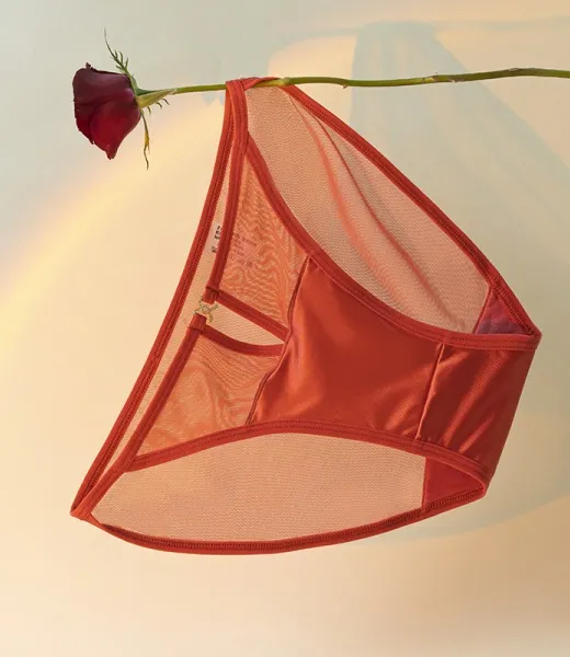 GY-580 Lustrous satin lace underwear