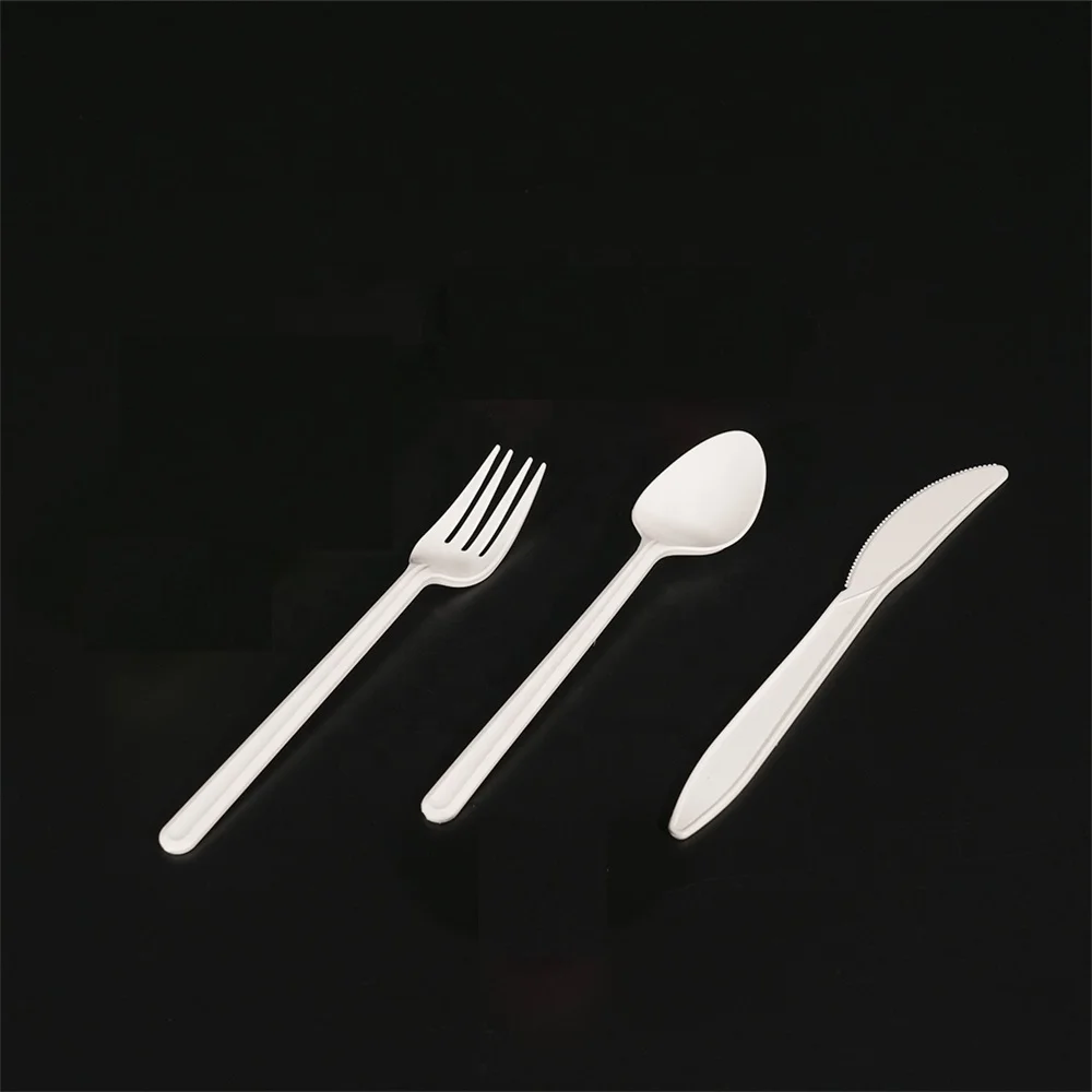 Biodegradable Cutlery Compostable Bio-plastic Bio-based PLA Cutlery Disposable Plastic Spoon Black