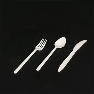 Biodegradable Cutlery Compostable Bio-plastic Bio-based PLA Cutlery Disposable Plastic Spoon Black