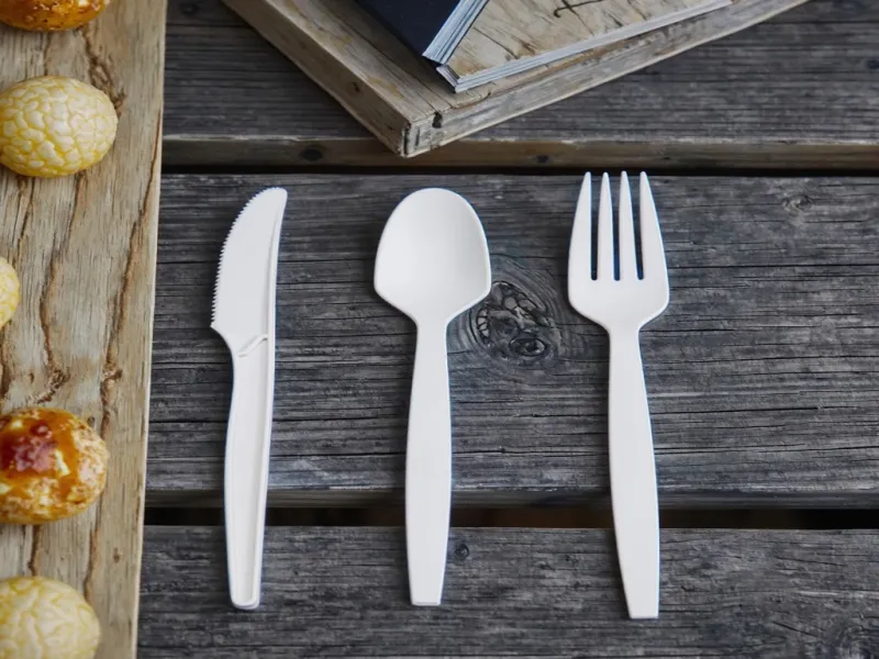 Wholesale Disposable Cutlery Set Food Grade Corn Starch Spoon for Catering & Home Use
