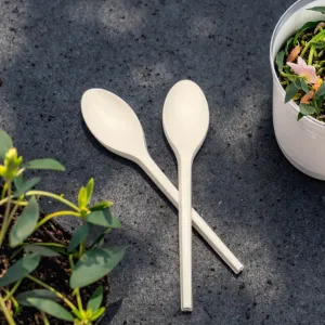 6.5 Inch Sustainable CPLA Compostable Disposable Spoon Cutlery Single-Use Eco-Friendly Kitchenware