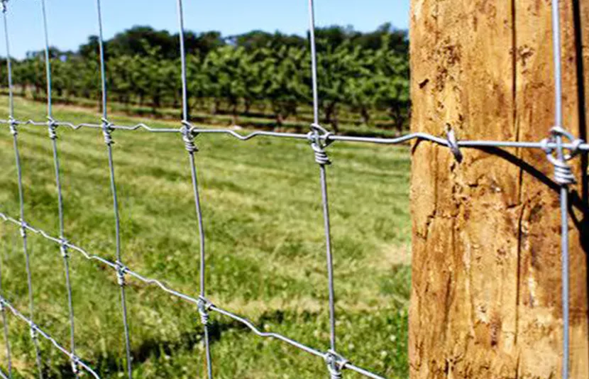 Alloy Steel Wire