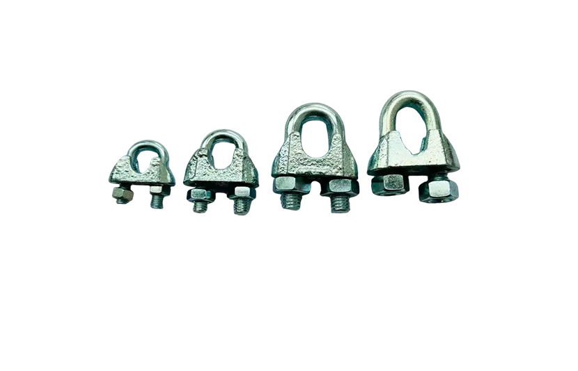 D Shackle