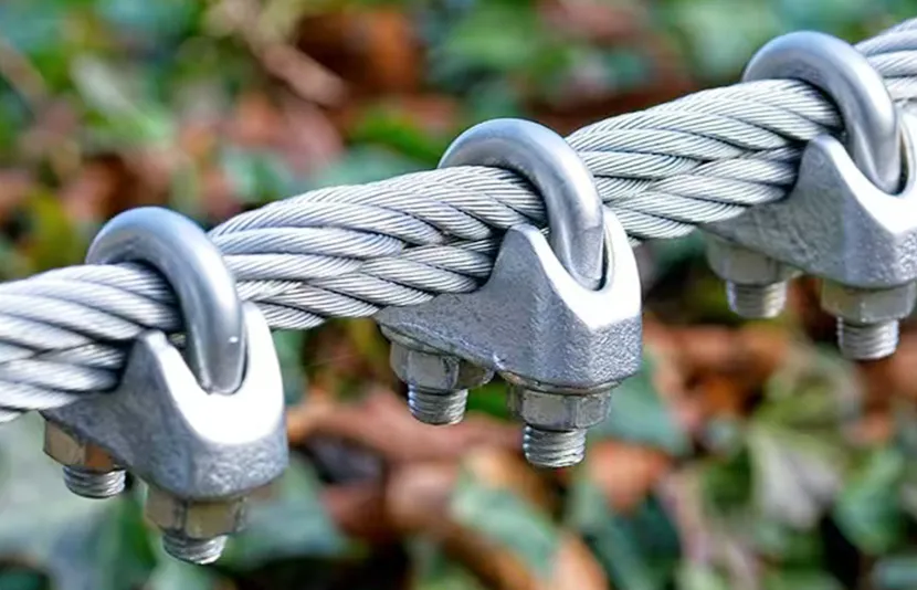 Wire Rope Clip