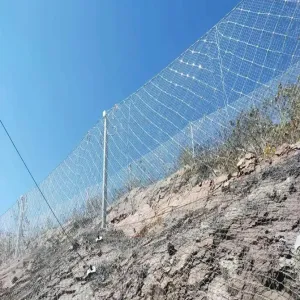 Passive Slope Stabilization Net