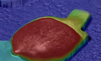 Example of Glue Path Inspection