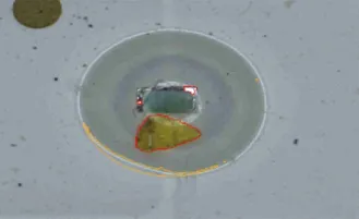 Example of Glue Path Inspection