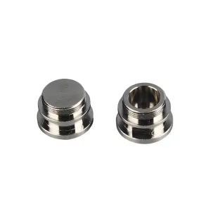 Stainless Steel External Thread Sealing Plug