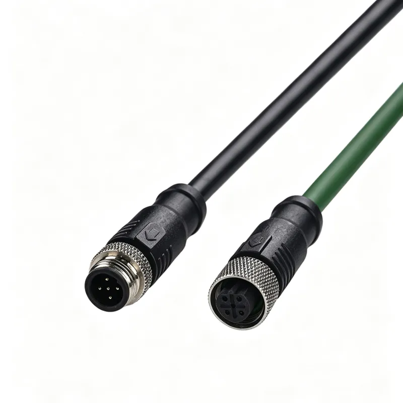 M12 B-Code Shielded Molded Cable