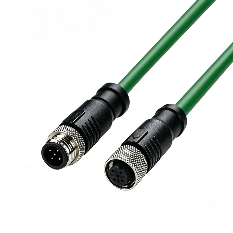M12 D-Code Shielded Molded Cable