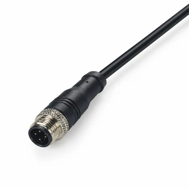 M12 Male Straight Molded Cable
