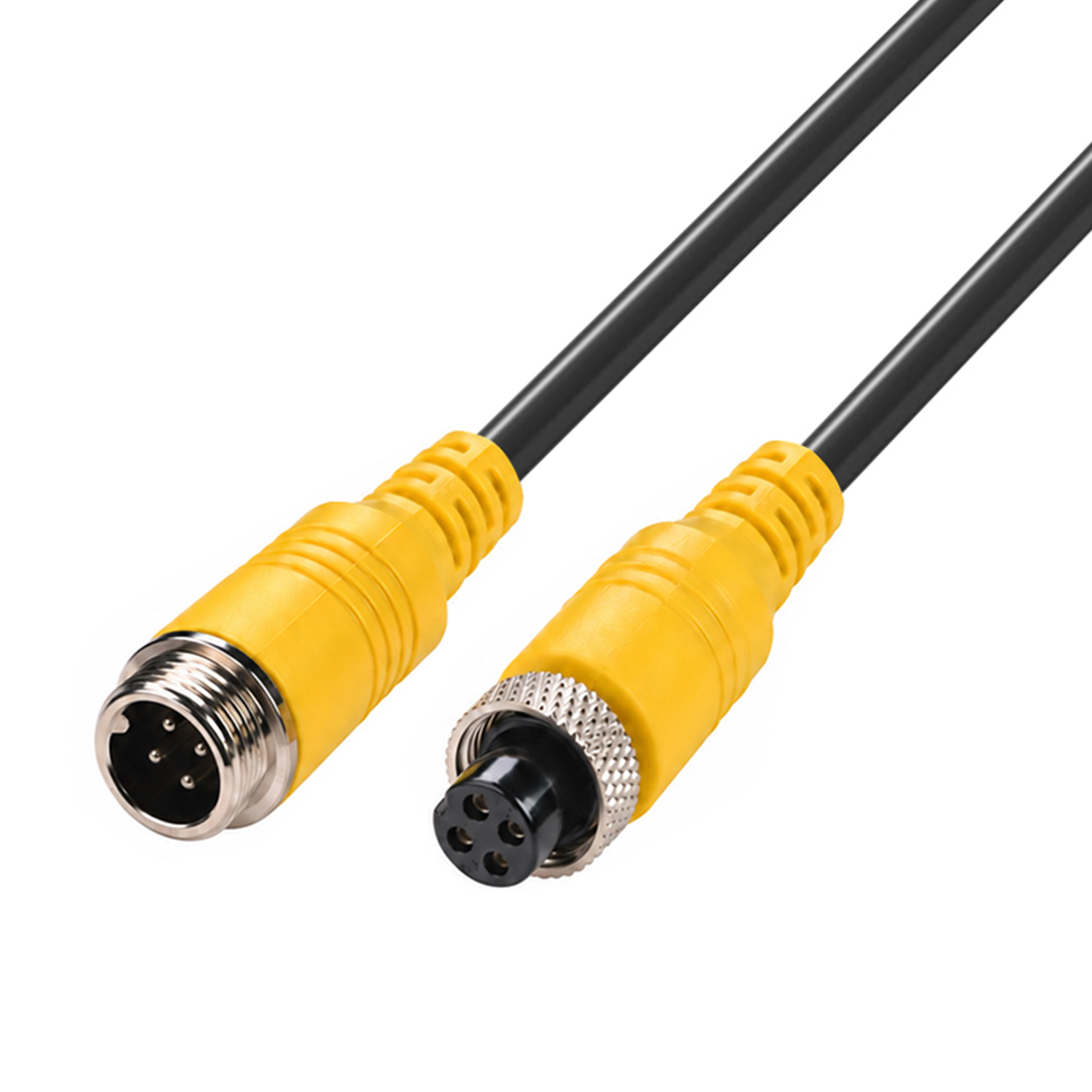 M12 Molded Cable